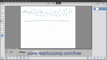 Photoshop Elements 2020 Tutorial Resetting Brush and Tool Settings Adobe Training