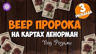 Гадание «Веер пророка» на картах оракула мадам Ленорман | 3 расклада