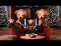 Zach Braff Interview on Ellen (2009-12-07)