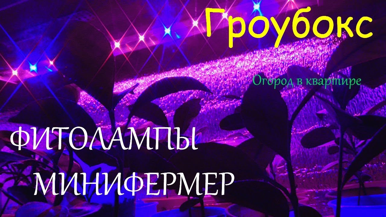 Минифермер Интернет Магазин Симферополь