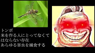 ミスターインクレディブルとみる益虫害虫