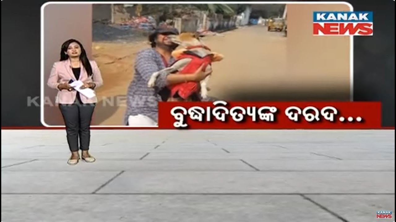 Damdar Khabar: Actor Buddhaditya Mohanty's Benevolent Act For Street Dogs And Animals
