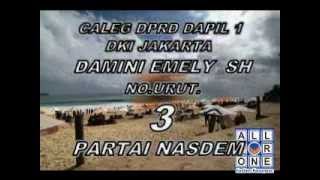 CALEG NASDEM, CALEG NASDEM 2014, DAMINI EMELY NO,URUT 3 PARTAI NASDEM