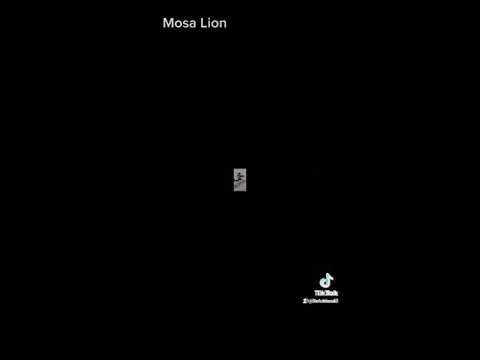 اللهم صل وسلم على سيدنا محمد عدد ما ذكره الداكرون وصلى وسلم على نبينا محمد عدد ما غفل عنه الغافلون