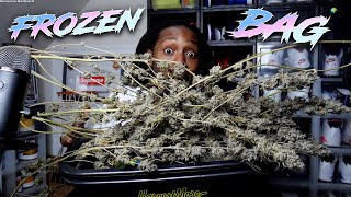 TRIMMING ROBINHOODSEEDS FROZEN BAG (BERRY'S & GAS)