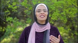 ترويج ألبوم دابا يا قلبي دابا