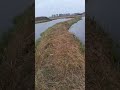 Высадил растения