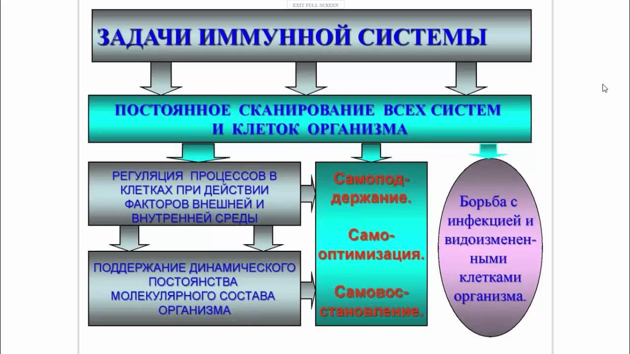 Задачи иммунной системы. Задачи иммунной системы