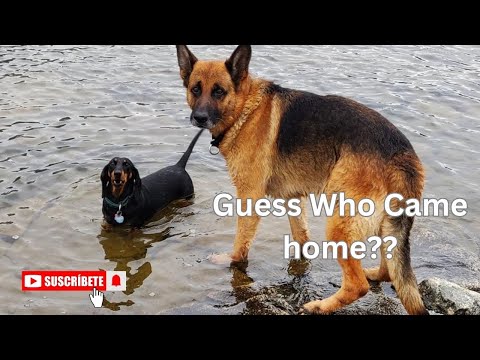 Home Sweet Home: Guess Who's Back!