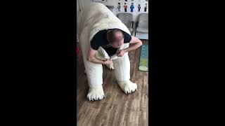 Getting out of the polar bear