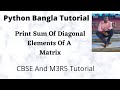 Python Program to Find Sum of Both Diagonal Elements of Square Matrix Bangla