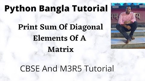 Python Program to Find Sum of Both Diagonal Elements of Square Matrix Bangla