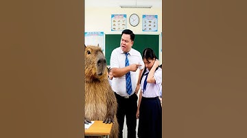 Thắm thắng Capy trong trò chơi trốn tìm và cái kết #capybara #vuive #giaitri #cuocsongcuacapy