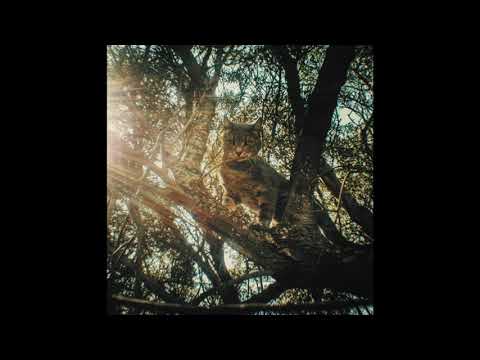 Alien Mustangs — Alien Mustangs - Sound of no Future