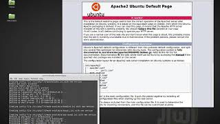 LAMP stack for Linux Mint v.18