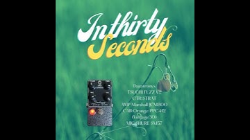 Dazatronyx TSUCHI FUZZ V2 #in30seconds_lep #dazatronyx