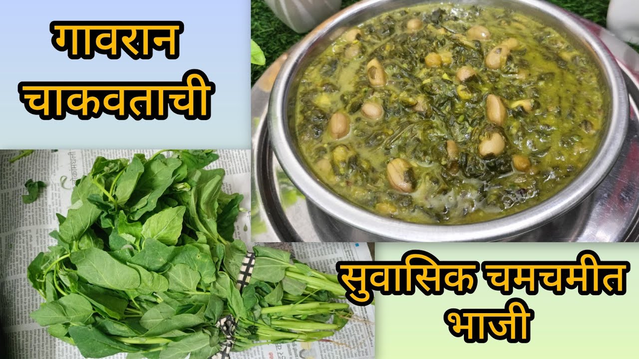 पौष्टिक गावरान चाकवताची गरगटी भाजी_चविष्ट सुवासिक चटकदार चाकवताची गरगटी भाजी