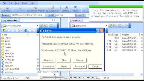 Transferring files in WS_FTP
