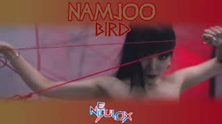 Namjoo - Bird [Male Ver.]