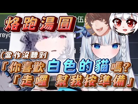 【烙跑湯圓】「你喜歡白色的貓嗎?」蒂兒:「走囉幫我按準備~」
