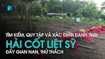 Hành trình tìm kiếm, quy tập và xác định danh tính hài cốt liệt sĩ đầy gian nan, thử thách | VTC1