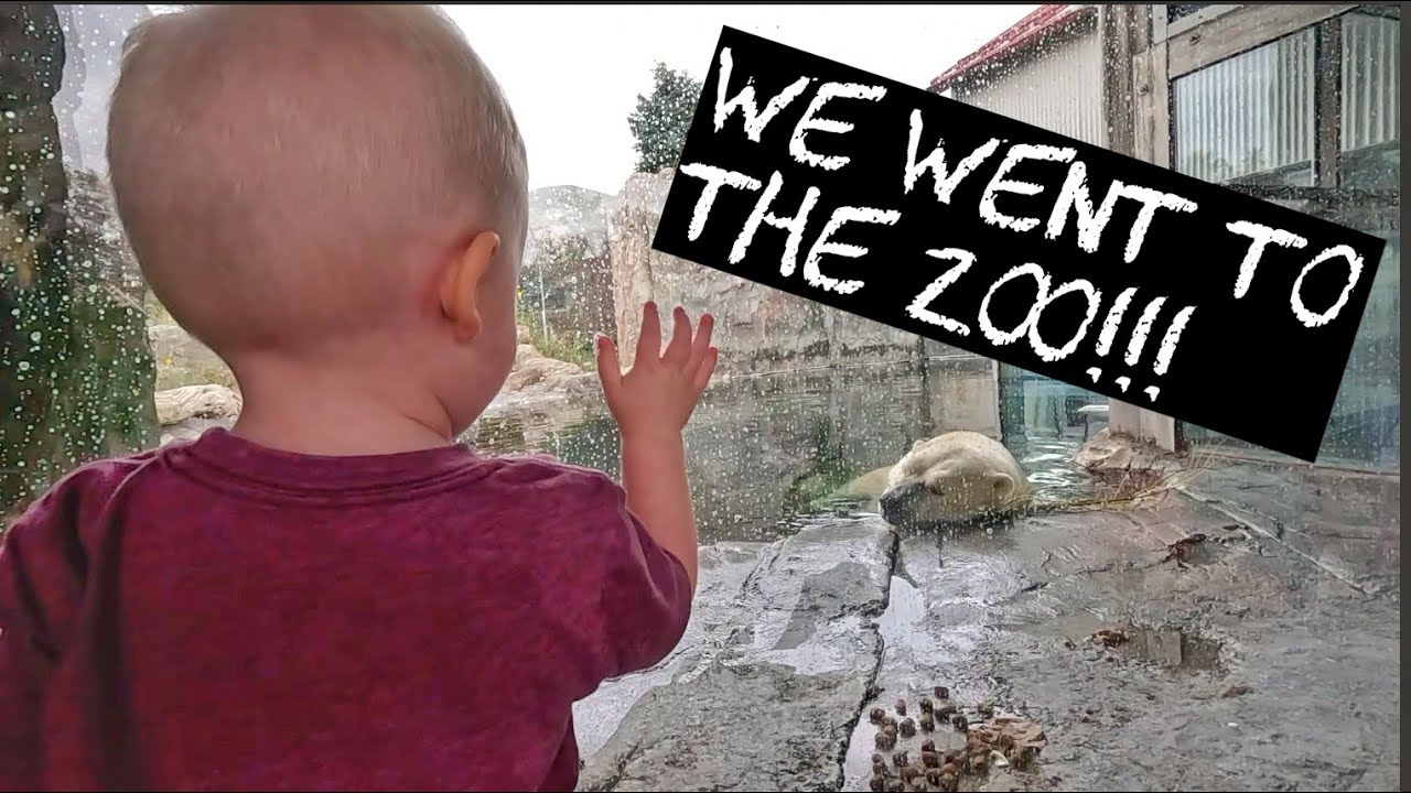 We Visit The Utah Hogle Zoo