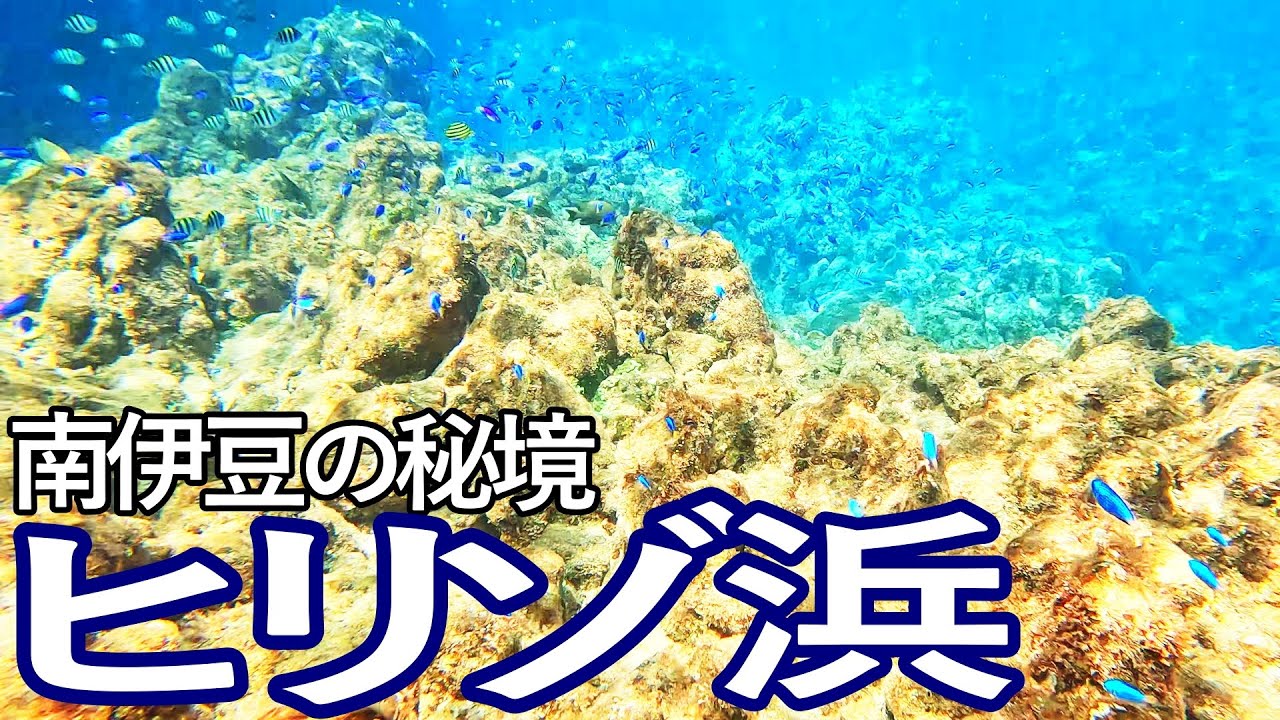 南伊豆の秘境　ヒリゾ浜でシュノーケリング満喫