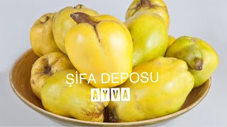 MİDE AĞRINIZ MI VAR ? SAĞLIKTAN GÜZELLİĞE ŞİFA DEPOSU AYVA....