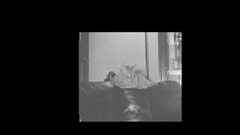 CCD- May 2, 2022  Bolex P1-Regular 8- Baby Robin- ...
