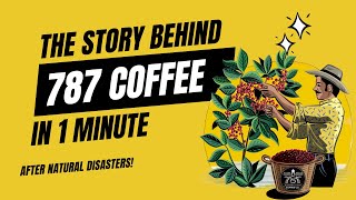 787 Coffee: A Story of Resilience, Passion, and Truth | From Farm to Cup