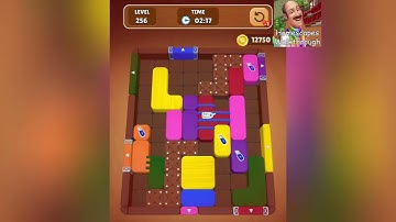 Wood Escape Color Block Level 256