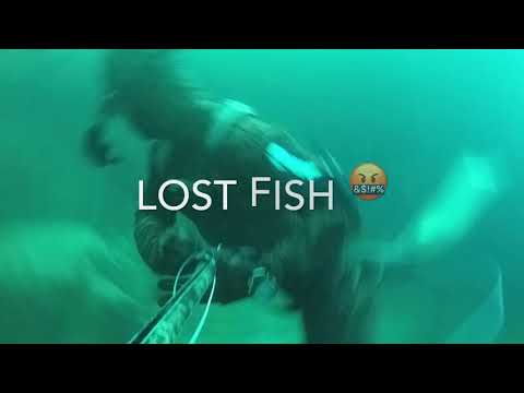 Spearfishing Rhoscolyn North Wales