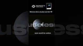 What Do Aliens Actually Look Like 👀