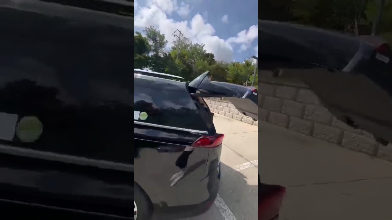 Осмотр KIA Carnival в Корее