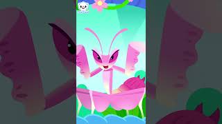 🎤Orchid Mantis, the clever hunter disguised as petals🌸 | Actual images | Unusual insects | TOMTOMI