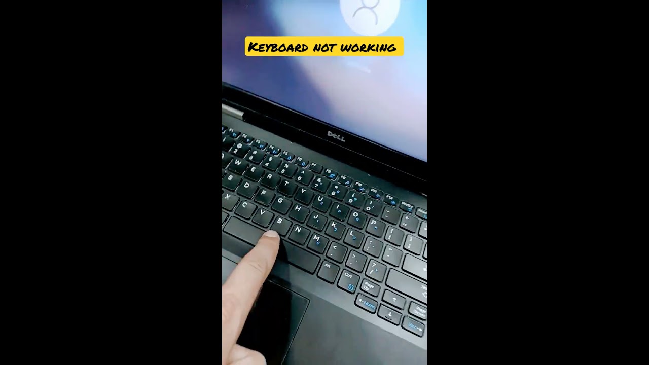 Dell Laptop Keyboard Not Working Why Is My Typing 