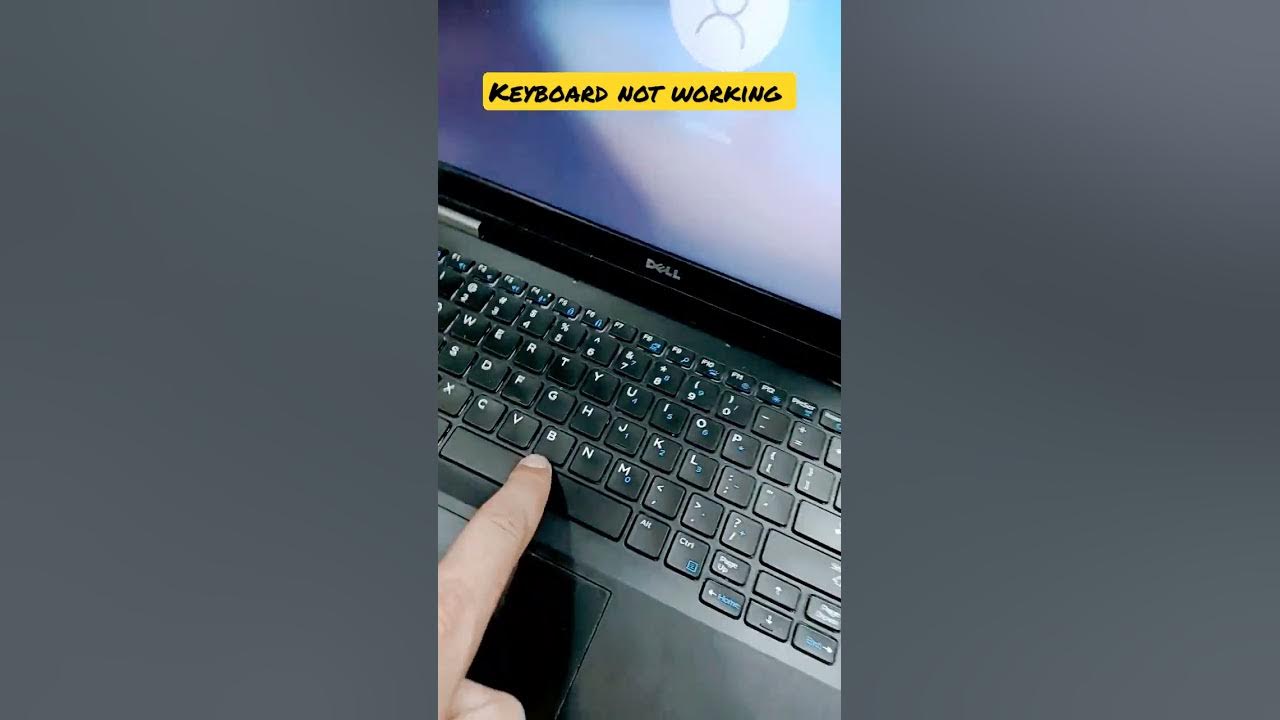 Dell laptop keyboard not working why is my dell keyboard not typing