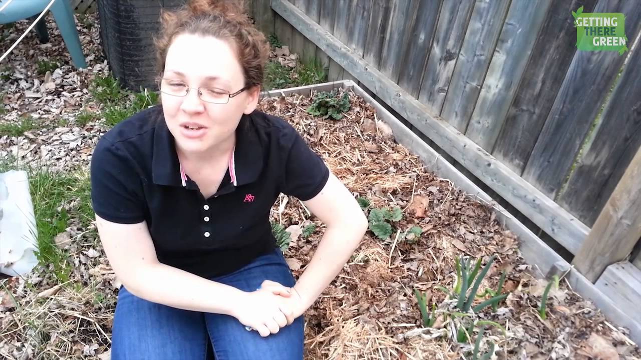 Introduction to our Mulch, No Till Gardening YouTube