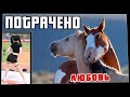 Потрачено. Любовь. Лучшие приколы, смешные видео и фейлы