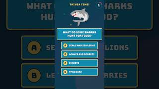 What Do Sharks Eat? 🦈 Shark Facts for Kids!