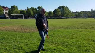 Bronx recall under distraction