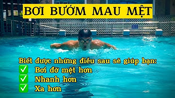 Học bơi bướm | Bơi bướm mau mệt, bạn đã phối hợp đúng khi bơi chưa?