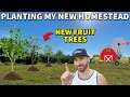 Planting Fruit Trees On My New Homestead Property