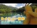 【ポケモンぬいぐるみ紀行】カイリュー散歩・青い湖「四万湖」を行く