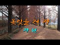 정원 못잊을건 정 4k 촬영장소 담양 메타세쿼이야 랜드