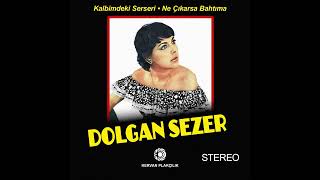 Dolgan Sezer - Kalbimdeki Serseri & Ne Cikarsa Bahtima (45'lik Plak Kapak)