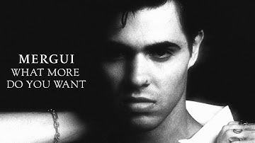 Mergui - WHAT MORE DO YOU WANT (Official Visualizer)