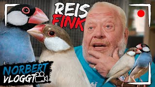 Reisfink Norbert Vloggt Zoo Zajac