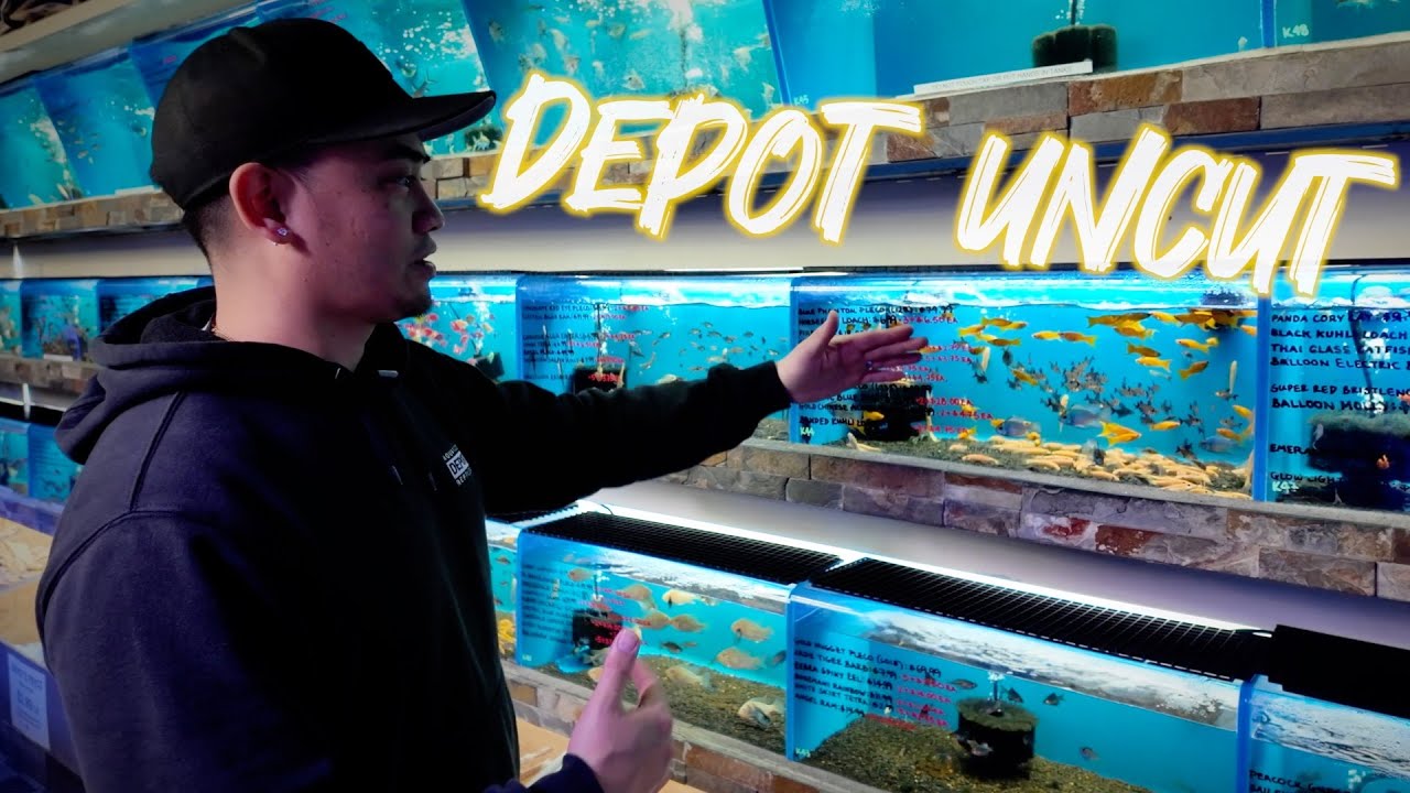 NEW STORE IMPROVEMENTS *UNCUT* | REDSEA | SF BAY BRAND | ZOOMED | MACK'S NATURAL REPTILE FOOD