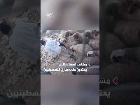 مستوطنون يعتدون على أهالي ومنازل في حلحول شمال الخليل